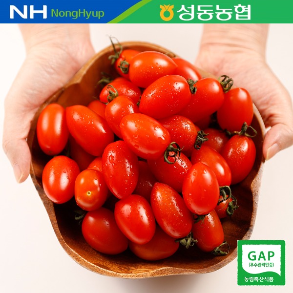 [회원전용] 성동농협 동뜰녘 대추방울토마토 2kg (로얄과/ 1호)