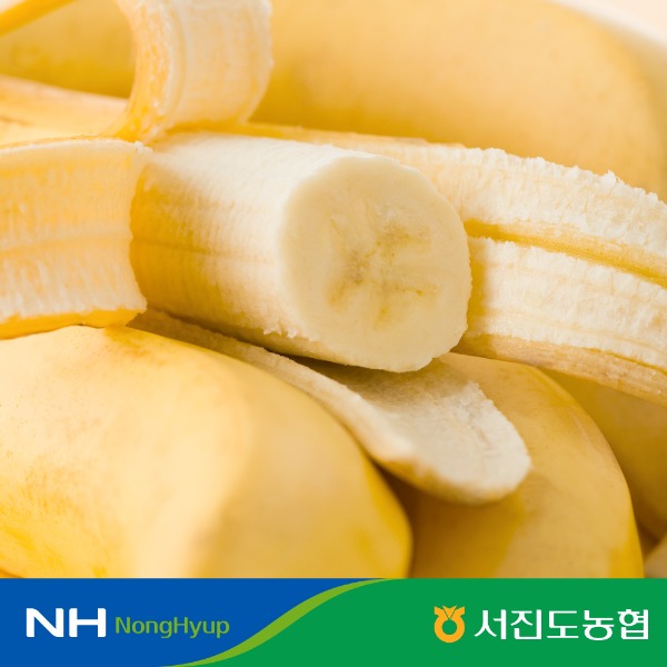 [서진도농협] 국산 무농약 진도 바나나 3kg
